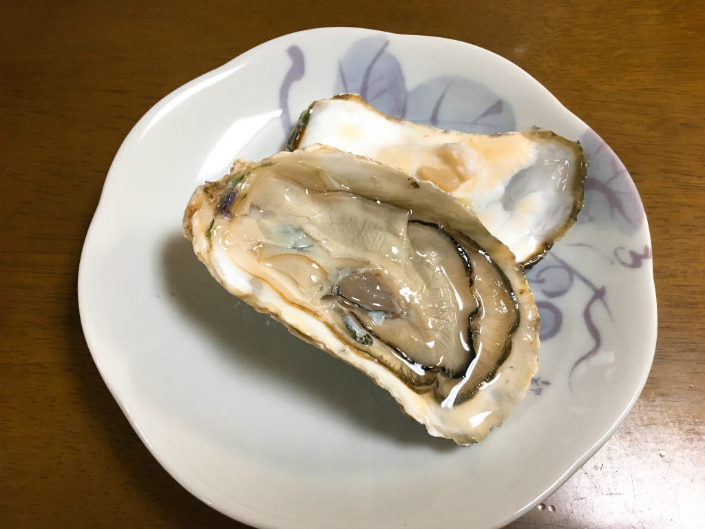 九十九島の牡蠣　2019　4